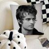 Singer Joe Keery Pillow Case Fashion Square Pillowcase Bedroom Sofa Room Ins Decoration Leisure