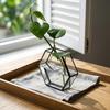 Modern Living Room Wall Decoration: Creative Hydroponic Glass Flower Planting Pot