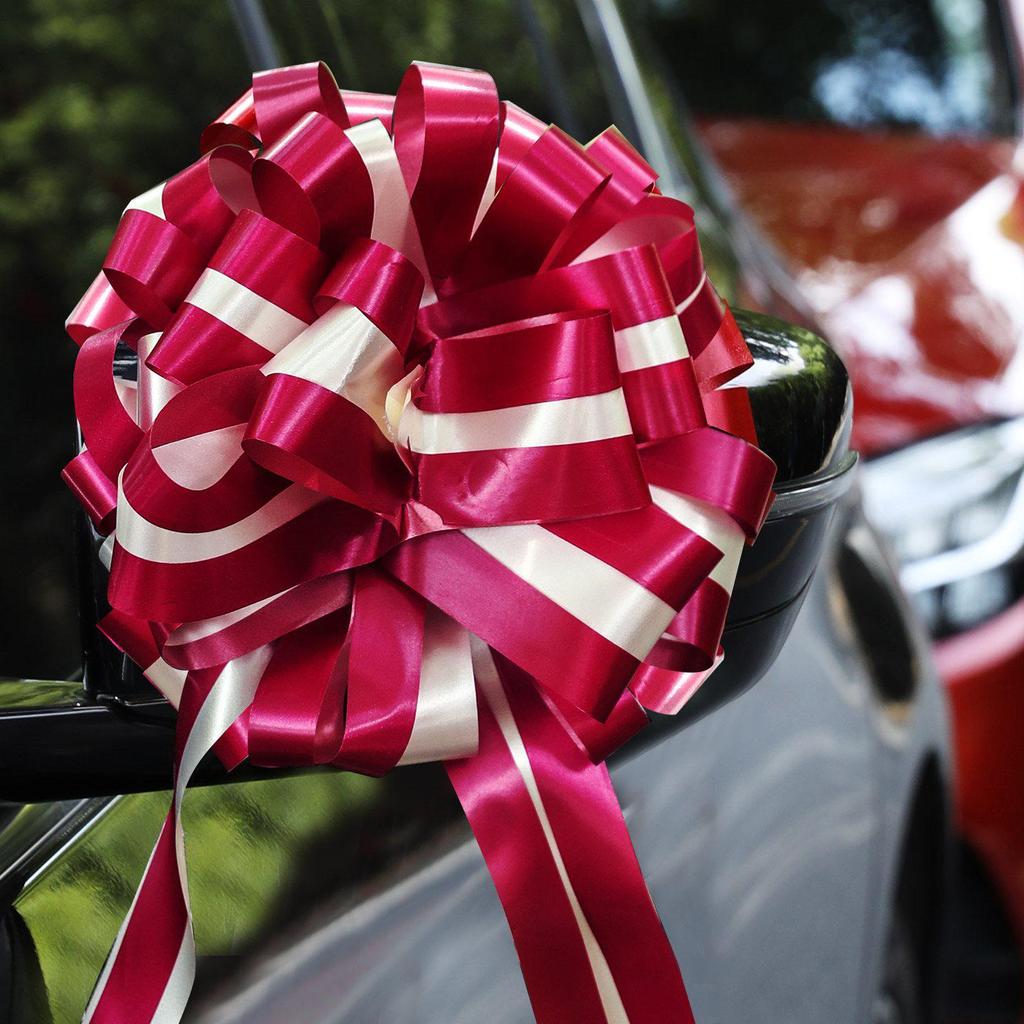 Wedding Car and Room Decor Set with Ribbons and Butterflies
