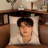 Actor Song Kang Pillow Case Fashion Square Pillowcase Bedroom Sofa Room Ins Decoration Leisure