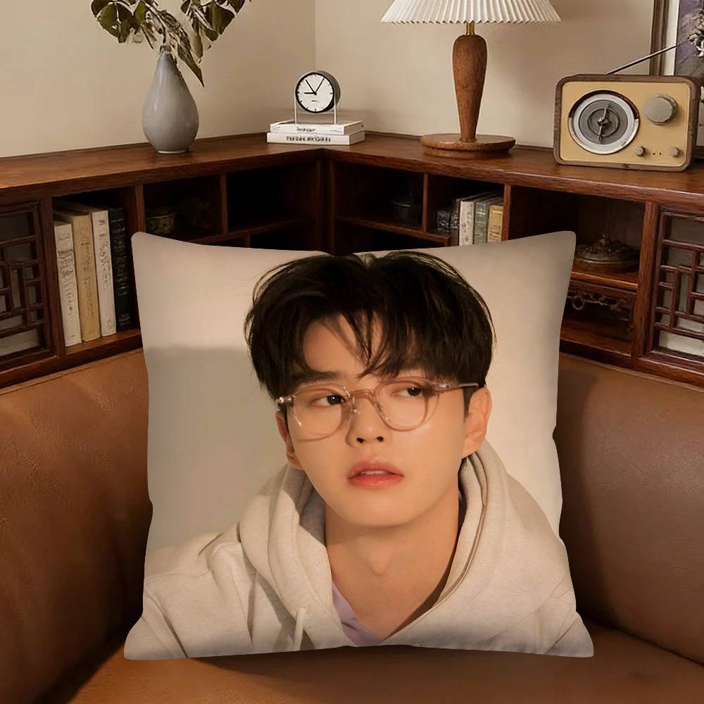 Actor Song Kang Pillow Case Fashion Square Pillowcase Bedroom Sofa Room Ins Decoration Leisure