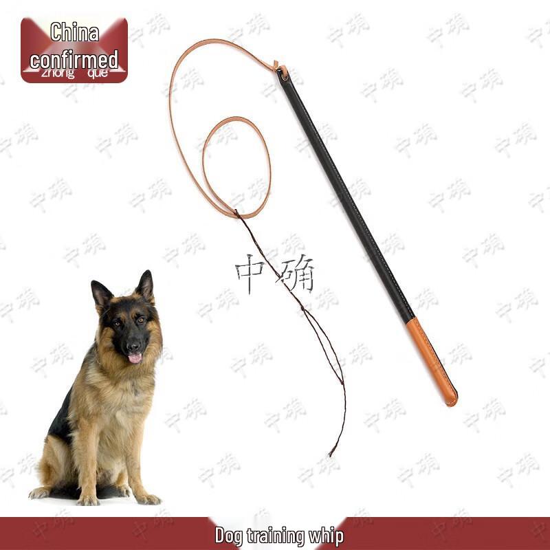 Pet Dog Training Whip