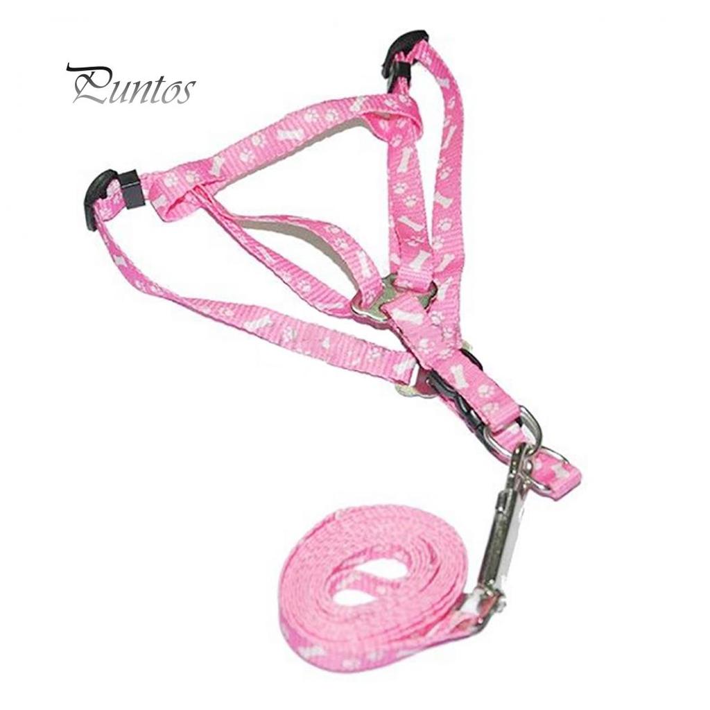 Postrojový golier Leash Bones Paws Trakčné lano