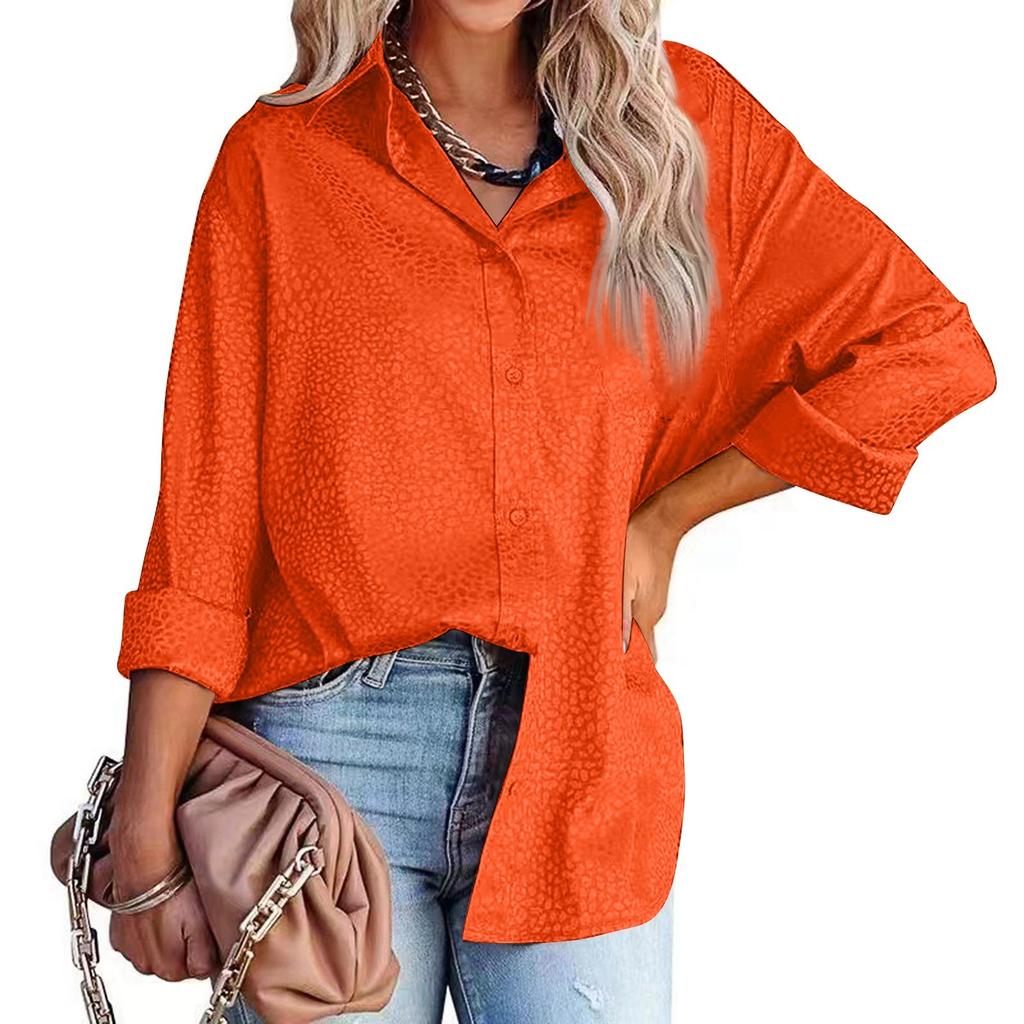 Dames Revers Knoop Luipaard Temperament Lange Mouw Shirt