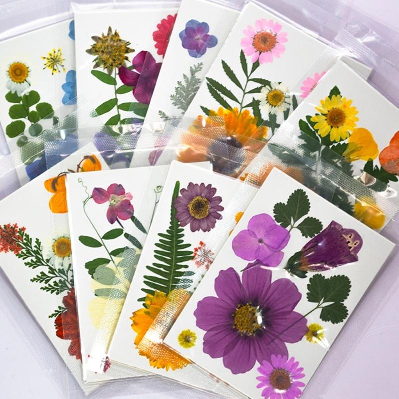 32Pcs Realistic Flower Pressed Florals Kits 4 Pack Natural Florals Craft Supplies For Resin Decorations And Gifts