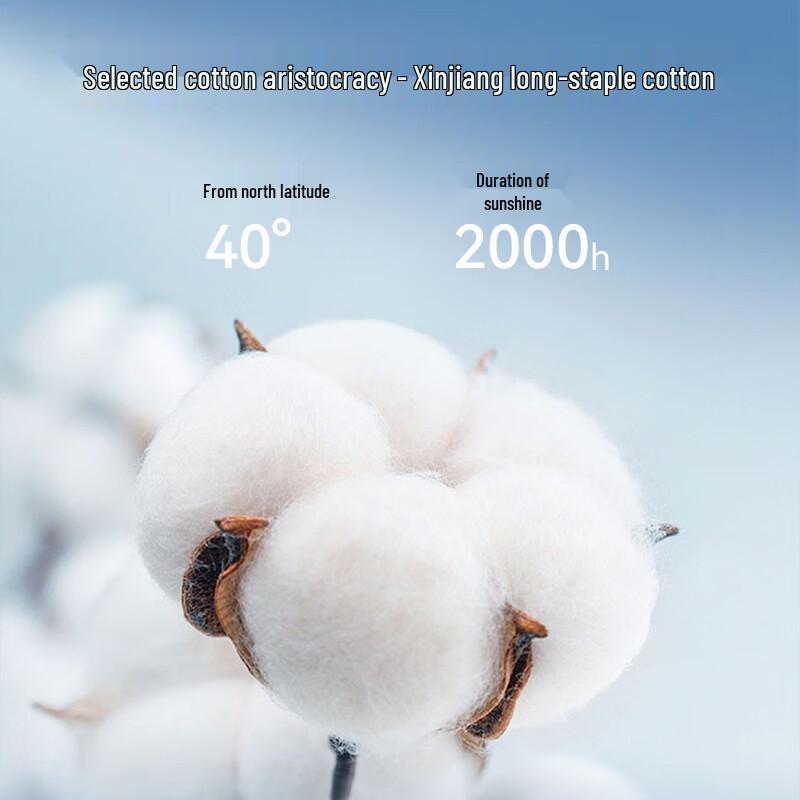 MIIOW Teen Boys' Pure Cotton Boxer Briefs (4-Pack)