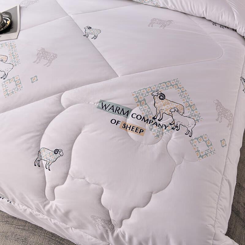 Grace Home Luxurious Lambswool Quilt
