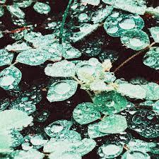 

CD SADNESS - Rain Chamber FLOW49CD Flowing Downwar 2022 Japan Rock Used