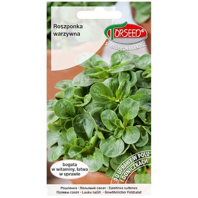 Lamb's Lettuce Verte De Cambrai Fresh Vegetable Seeds PREMIUM 2g