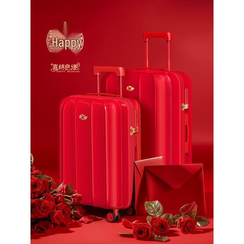 Mango Bird M14 Lantern Hardside Luggage 24 inches