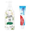 Toothpaste & Lux Shower Gel Combo
