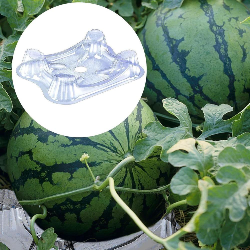 20/50/100pcs Transparent Fruit Plant Tray Fruit Protection Vagetable Support Tray Watermelon