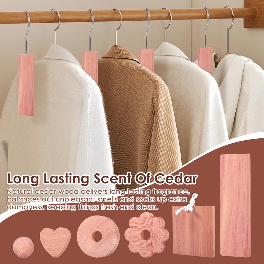 67 Peças Bloco de Cedro Armário Tábua de Cedro Aromática Estilo Sortido Odor Fresco Repelente de Insetos Guarda-roupa Bloco de Cedro Acessórios para Casa