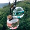 Car Hanging Diffuser Bottles Empty Glass Bottle With Flower Car Mirror Aromatherapy Fragrance Hanging Pendant Air Freshener