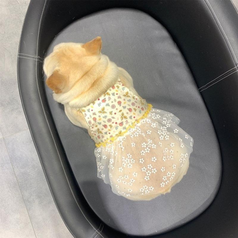 Summer Dou Skirt Pet Dog Baguo One-piece Suspender Vest Skirt Teddy Corgi Fat Dog Clothes