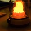Vintage Capybara Nightlight Silicones Desktop Figurine with Gentle Glowing Oil Lamp Shape USB Rechargeable Night Lamp