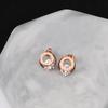 Trendy Fashion Shine AAA Zirconia Rose Gold Color 316L Stainless Steel Stud Earrings Brincos For Women Fashion Jewelry