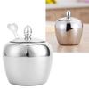 304 Stainless Steel Sugar Bowl with Lip Spoon Home Kitchen Salt Pepper Spices Bowl