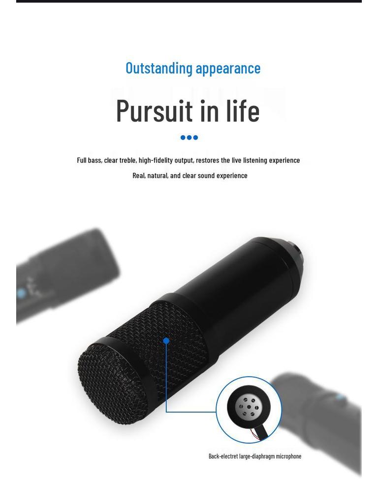 BM800 Condenser Microphone Set: Large Diaphragm, Streaming Stand, and Recording Equipment