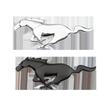Metal Car Rear Badge for Mustang, Mondeo, and Ford Escort