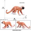 Children's Cognitive Simulation Primate Model: Gorilla & Golden Snub-nosed Monkey Wildlife Toy