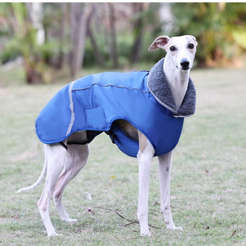 Pet Fall and Winter Thickened Jacket Big Dog Clothes Reflective Warm Clothing Dog Insert Button Clothing