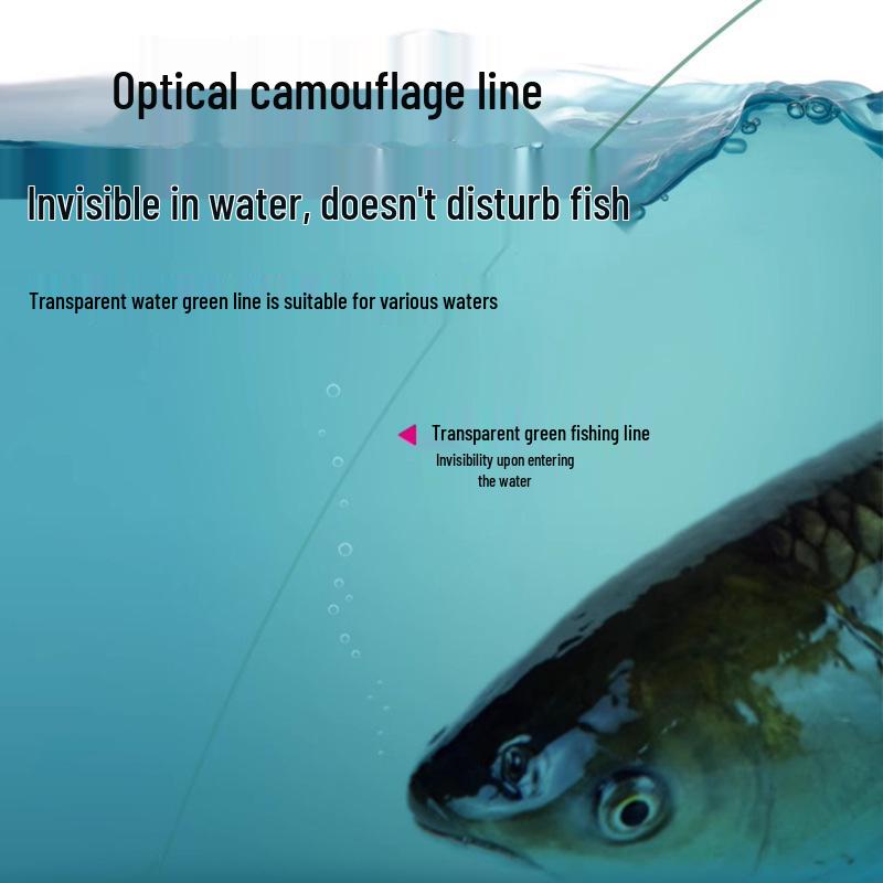 Hochwertiges, vorgeknotetes, verstärktes Angelschnur- und Tackle-Set für das wettkampfmäßige Tischfischen