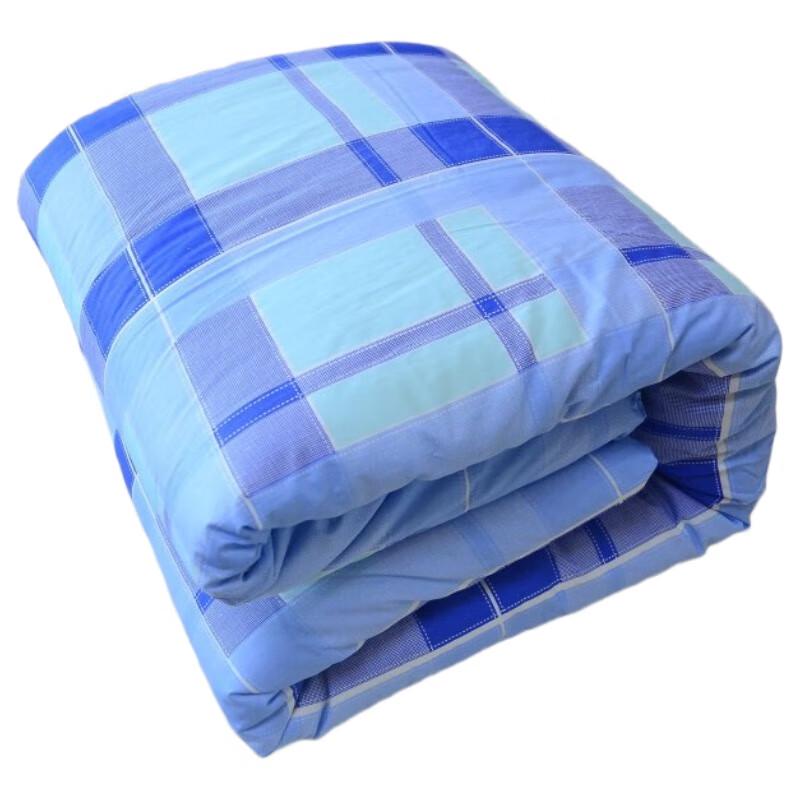 

Xiaoyueya Blue Gingham Twill Cotton Dorm Quilt