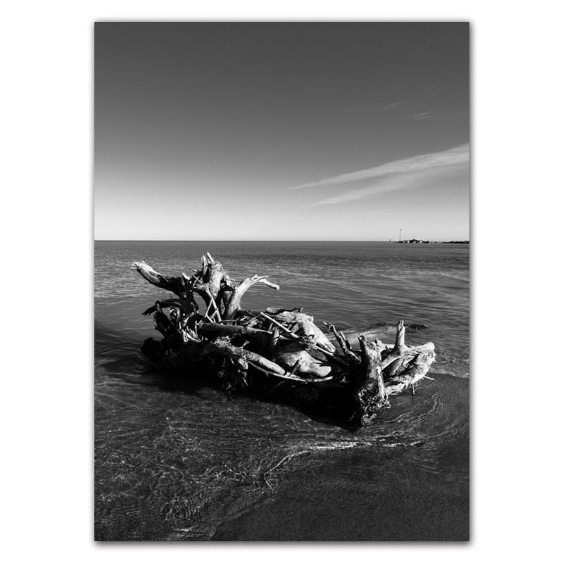 Holding Hands Couple Art Prints Poster Black White Seaside Scenery Picture Beautiful Dandelion Flower Wall Decor HD0117