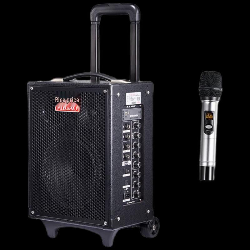 MiGao MG820A-LI Portable Outdoor Instrument Speaker