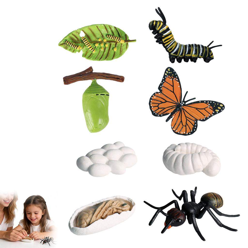 Kids Childrens Christmas Board Games for Children Tasteless Life Cycle Statues Growth Cycle Stages PP Figures Learning Educational Stocking for
