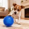 Pet Toy - Dog Sound-making Ball - Durable and Bite-resistant - Small Dog Toy - Not Easy To Be Chewed Through