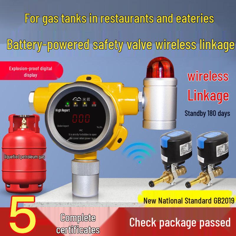 MDNG Baurui Wireless Gas Leak Detector CN plug (adapter included)