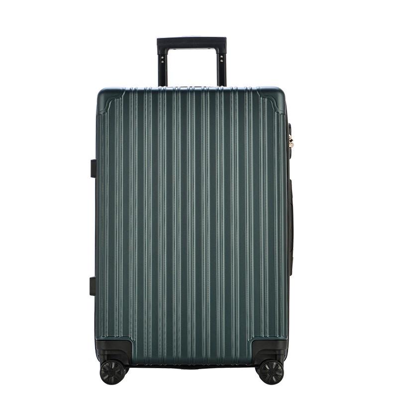 Ruizhi 28-inch Hardshell Spinner Luggage
