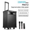 Edifier PW312 Portable Bluetooth Karaoke Speaker CN Plug (adapter Included)
