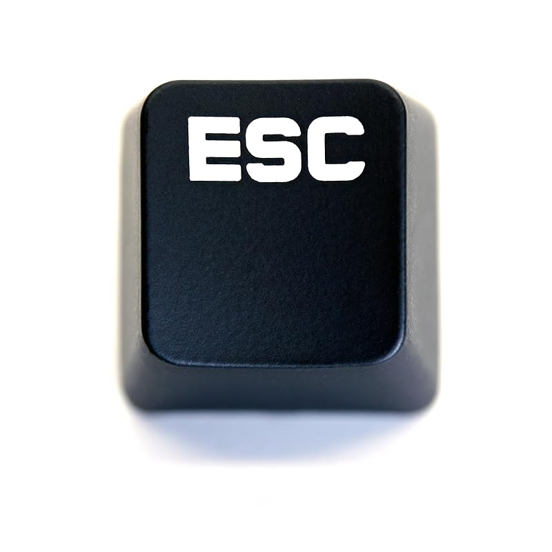 

logitech GPRO G PRO X keycap Japanese sequence for replacement [Sold separately] key switch keyboard gaming Compatible with luminescence [BERGBUCH]