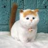 Cute Simulation Cat Plush Toy Creative Imitation Cat Plush Doll  Valentine's Day Gifts