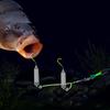 Fishing Tackle Accessories Reverse Bottom Rigs Iseni Hook Floating Tear Drop Rig Anti Separation Base Fishing Hook