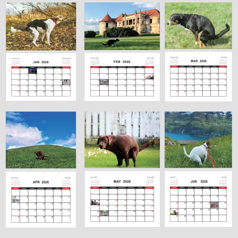 2026 Kackende Hunde Kalender - Jahres-Monatsplaner & Terminplaner Organizer Wandkalender Lustige Party Gag Geschenke Für Freunde