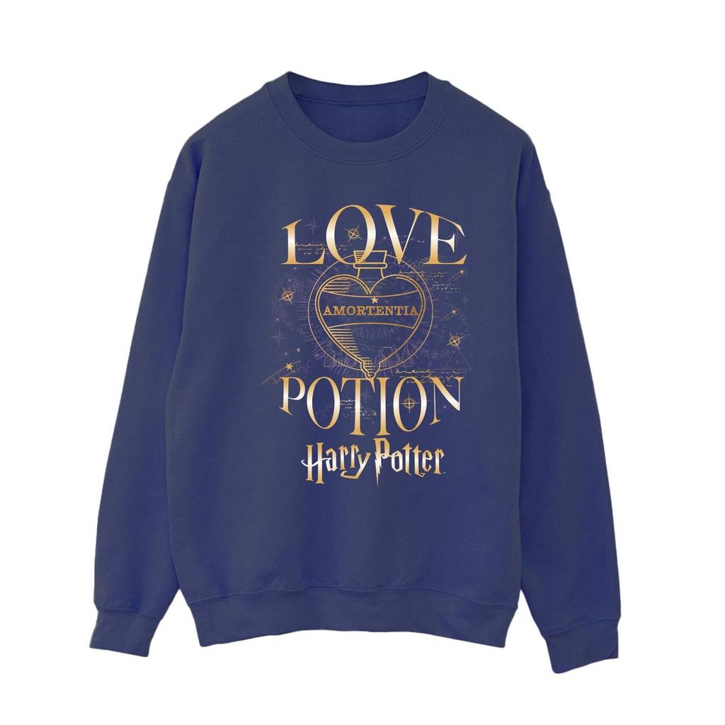 Harry Potter Womens/Ladies Love Potion Sweatshirt