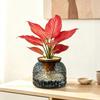 Mini Selvvandende Blomsterpotte Akvarium Gennemsigtig Plastik Plantepotter Selvvandende Plante Potte Vase Til Hjemmeindretning