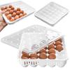 Egg Container for 30 Eggs