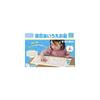 Kumon Publishing Magnetic Hiragana Board Educational Toy for Ages 1.5 and Up