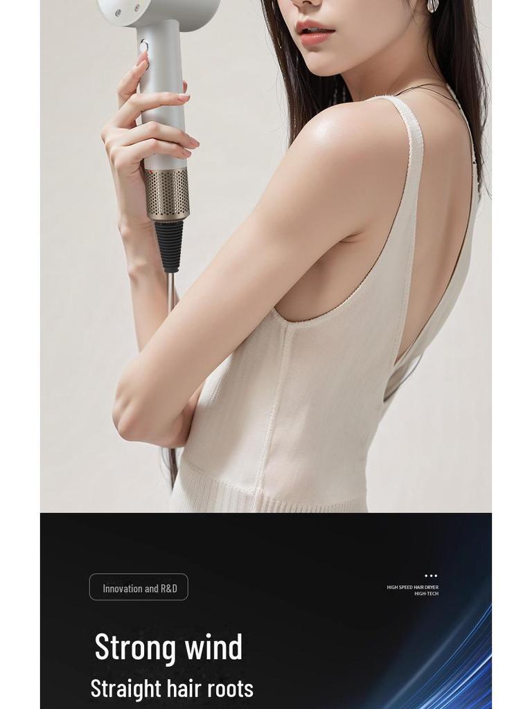 High-Power Ionic Hair Dryer: Leafless Design, Fast-Drying, Suitable for Home and Salon.