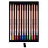 Crayon Pastel - Bruynzeel - Boîte de 12 - Couleurs Assorties - Haute Qualité - Mixte