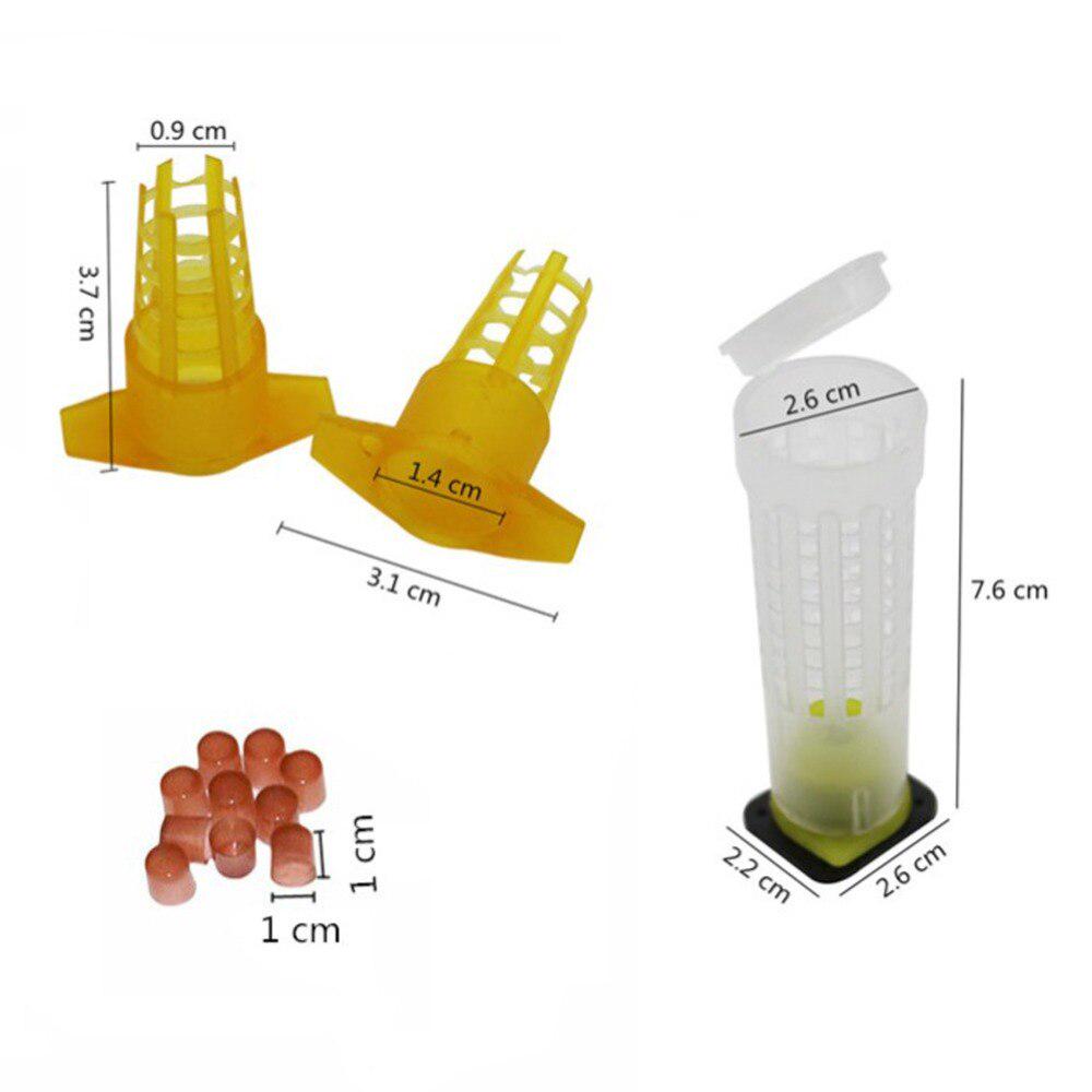 

1 комплект, пластиковый набор чашек для выращивания королевы, система пчеловодства, ящик для ловли пчел, чашки для ячеек, отличный набор инструментов для пчеловодства для пчеловода