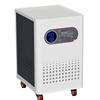 Delixi TND 10K Single Phase Voltage Stabilizer 170V-300V, Cabinet Type