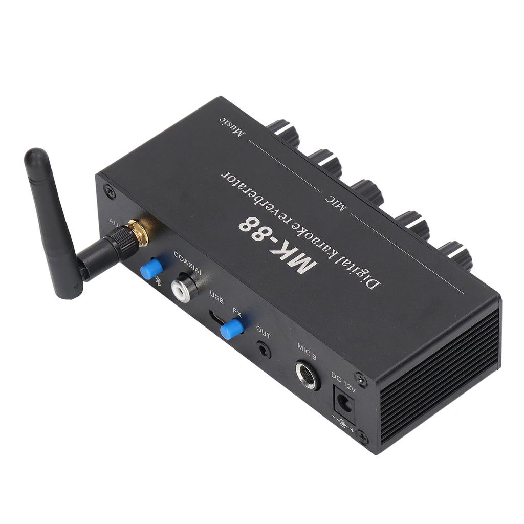 Digitaler Hallgerät Stereo-Verstärker Bluetooth 5.0 Dualer Mikrofoneingang DC 12V