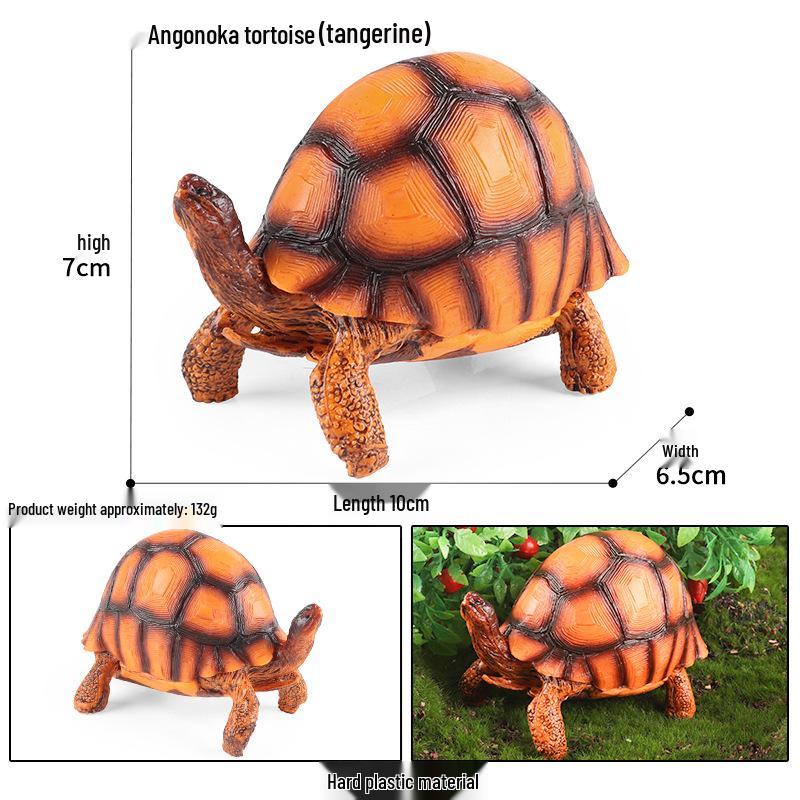 Children's Cognitive Marine Animal Models: Sea Turtle and Tortoise Toys