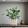 Nordic Style Artificial Potted Plants for Indoor Decor: Perfect for Living Rooms, Offices, and Desktops